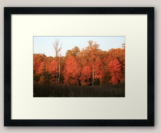 Seeing Red Framed Art Print