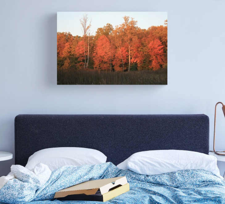 Seeing Red Canvas Print